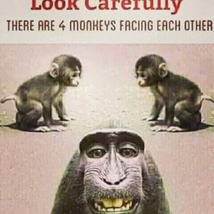 Etc etc 