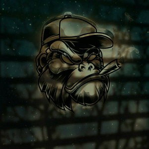Never Give Up The Fight