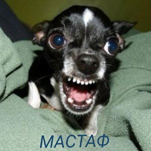 Противоположность