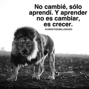 LAS COSAS CLARAS 