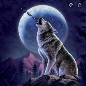 Lone wolf 