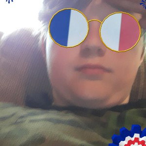fastdog gamer