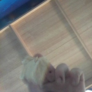 вкусно