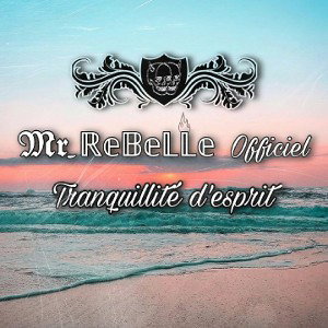 Tranquillité d'esprit 
