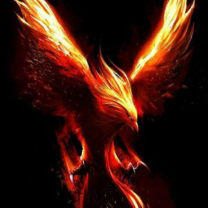 ave fenix
