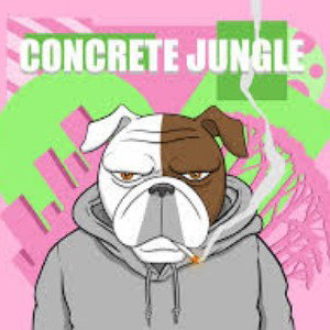Jungle ❌ 2k2vocales ✘Casca Flow ✘ Gaohit