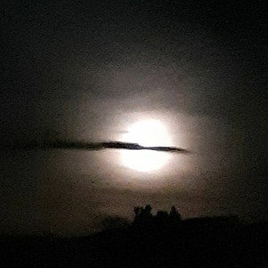 Dehassomusic - beat 7 (demo)