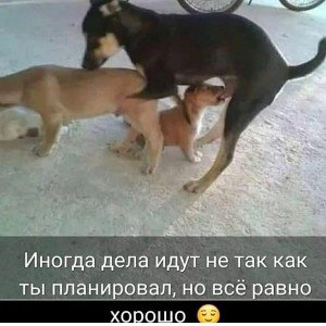 аай