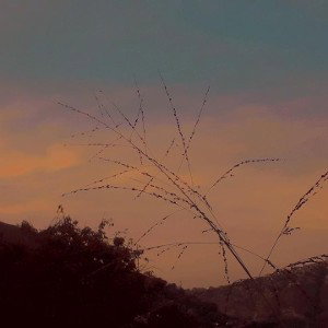 Peace