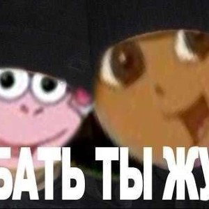 SINGLE DAY