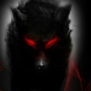 un lobo nunka esta solo