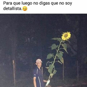 los que lo hace hacer la cuarentena