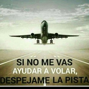 EL MORENITO 115