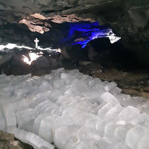 Правда из картины 
