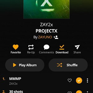 MMMP-Zay2x