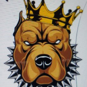 DANGERISKGFREESTYLEKING 