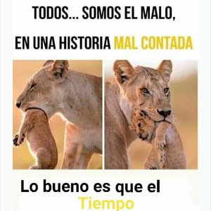yarel🦁-todo somo el malo (audio oficial)