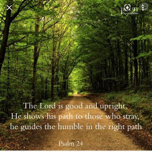 choose the right path 