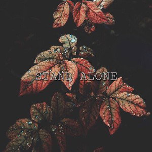 stand alone