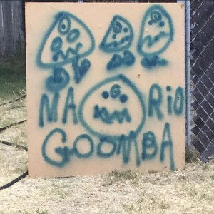 YOU AINT THAT GOUDA