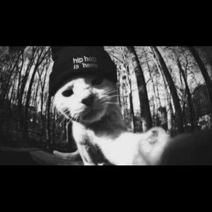 freestyle