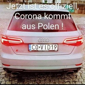 wollen auto kaufen 