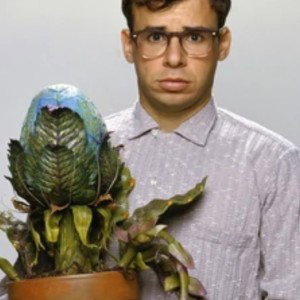 plant