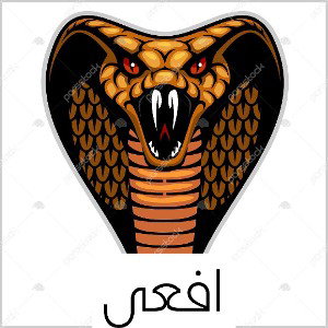 افعی