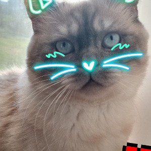 Отдых с карапузом