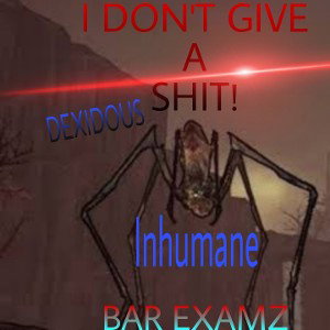 I DON'T GIVE A SHIT