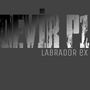 LabradorEx-DEVİR P1