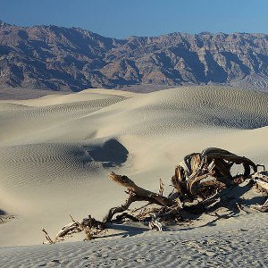 Paraíso Desierto
