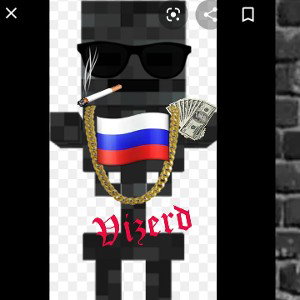 vizerd
