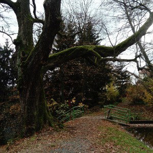 Nolifer Depressive [demo] 
