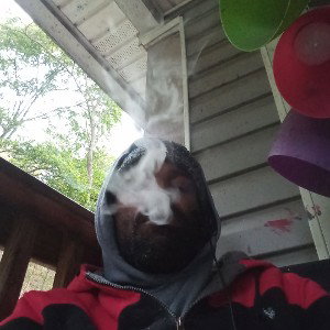 all random freestule