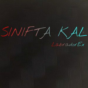 LabradorEx-SINIFTA KAL