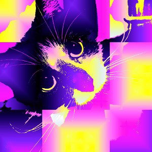 kitty city 