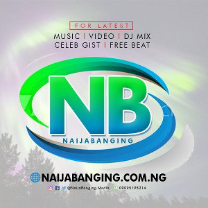 Professional - 7 in 1 Beat || NaijaBanging.com.ng