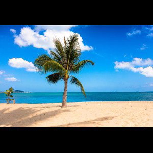 island
