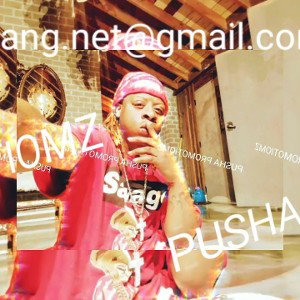 PUSHA PROMOTIOMZ I.N.C