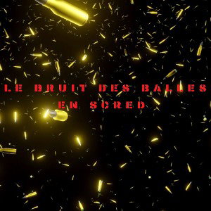 Le Bruit Des Balles En Scred (P.L.V) ♤5️⃣🤜🏻💛🤛🏻5️⃣♤