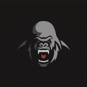 Gotti-16 Bars 2.0