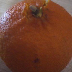 Жизнь Чиновника