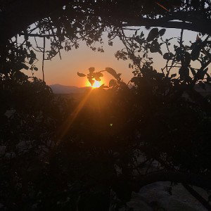 De noche y de dia