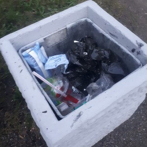 ВЕСЕННИЙ ВЕТЕРОК