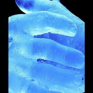inkarnadin-ice