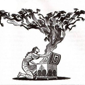 pandora 