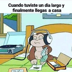 lococha