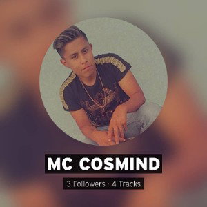 Precio- mc cosmind 
