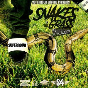 SNAKES  IN THE GRASS 